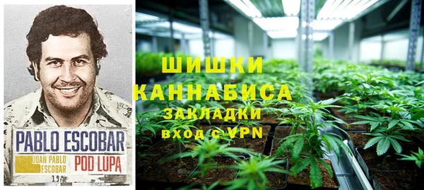 дурь Краснотурьинск
