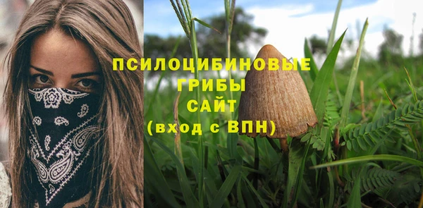 спайс Коряжма