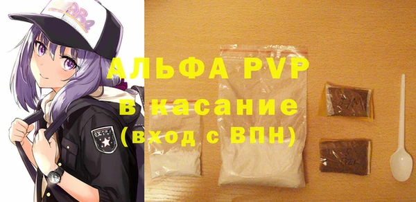 шишки Корсаков