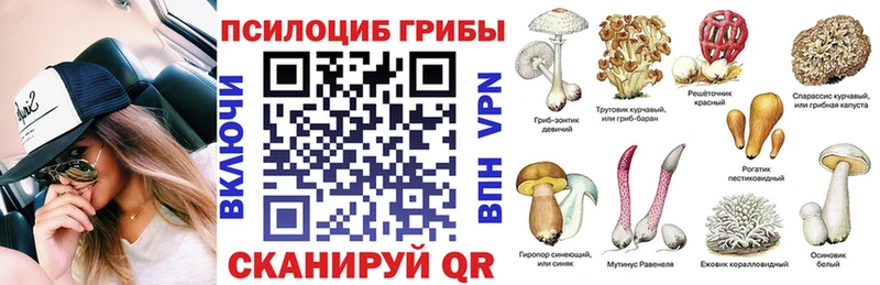 Галлюциногенные грибы мицелий Избербаш
